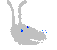 rabbit001