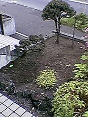 木
